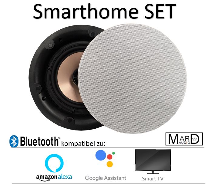 DAN-VAST-172 Smarthome Bluetooth Deckenlautsprecher Set